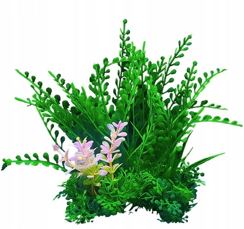 Aqua Natura  plant  for aquarium decoration