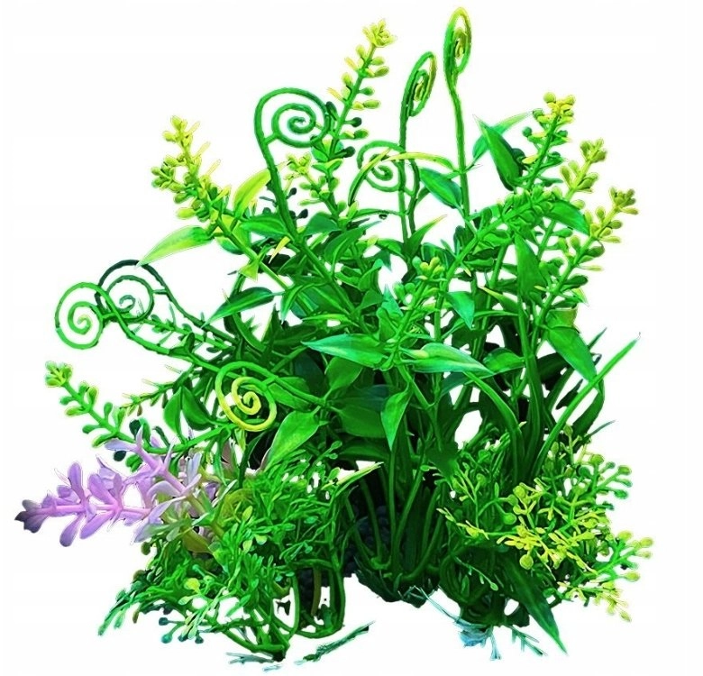 Aqua Natura  plant  for aquarium decoration