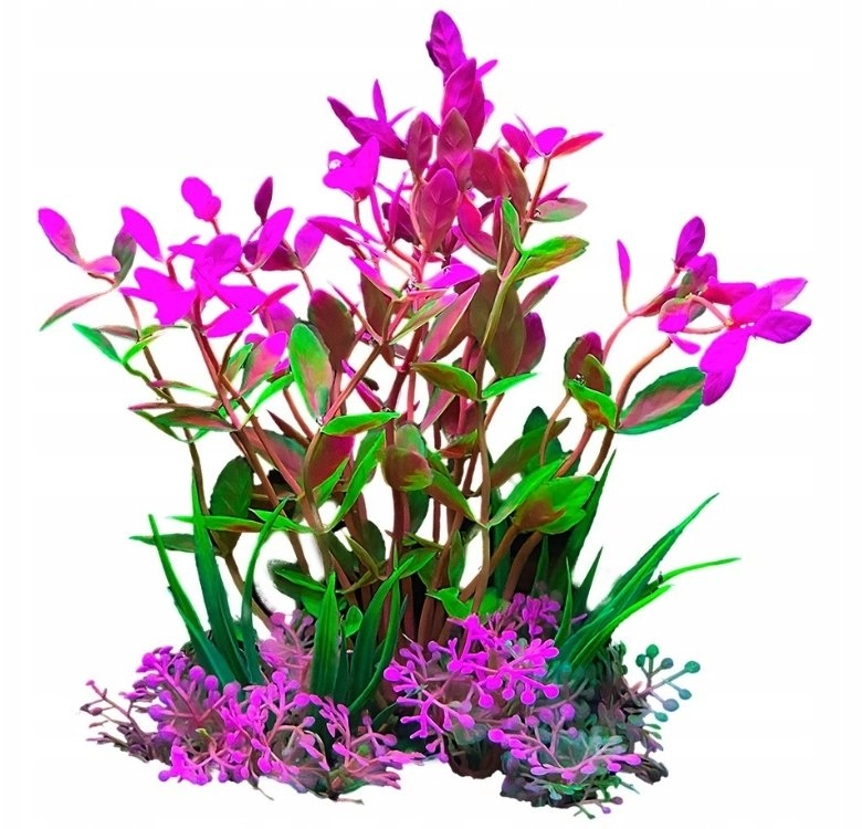 Aqua Natura  plant  for aquarium decoration