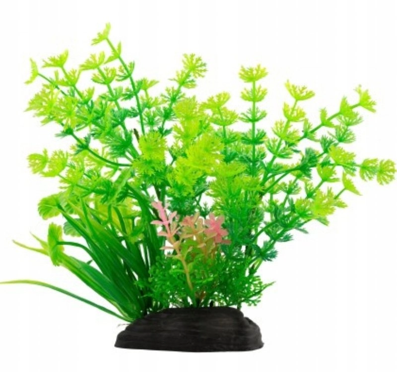 Aqua Natura  plant  for aquarium decoration