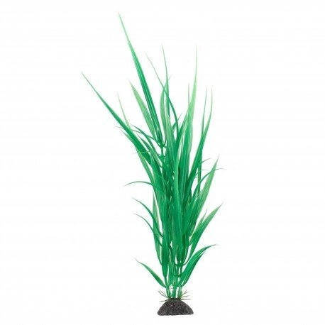 Aqua Natura  plant  for aquarium decoration