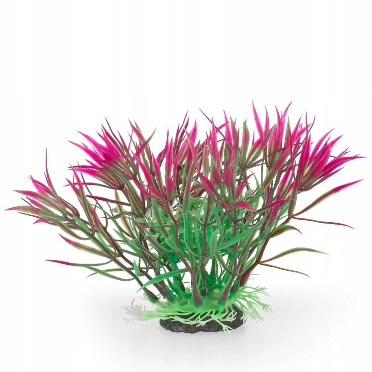 Aqua Natura  plant  for aquarium decoration