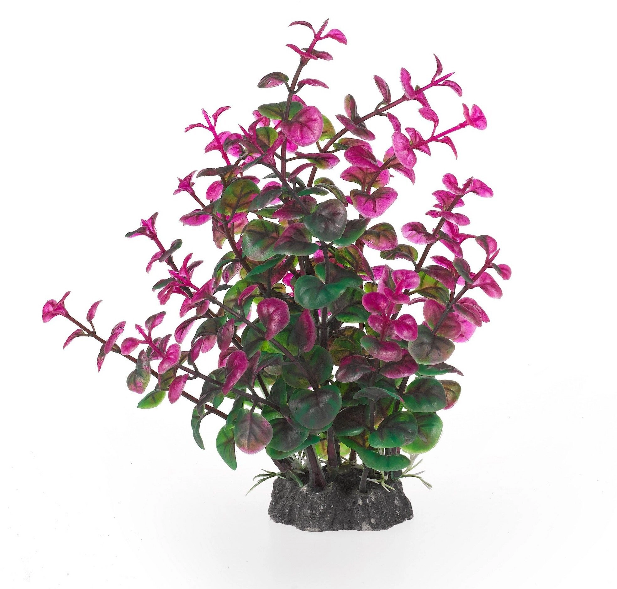 Aqua Natura  plant  for aquarium decoration