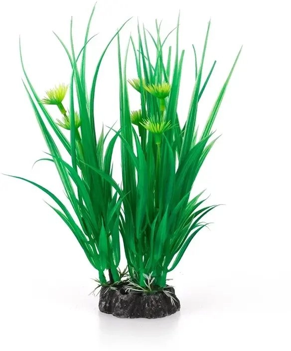 Aqua Natura  plant  for aquarium decoration