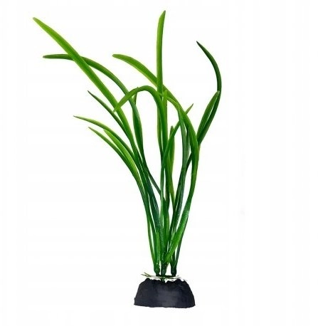 Aqua Natura  plant  for aquarium decoration