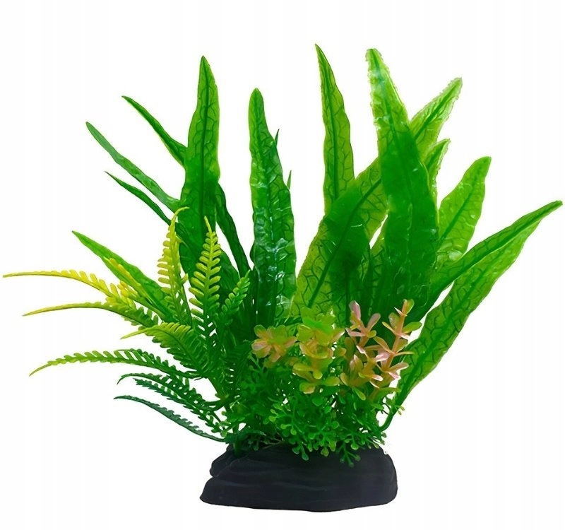 Aqua Natura  plant  for aquarium decoration