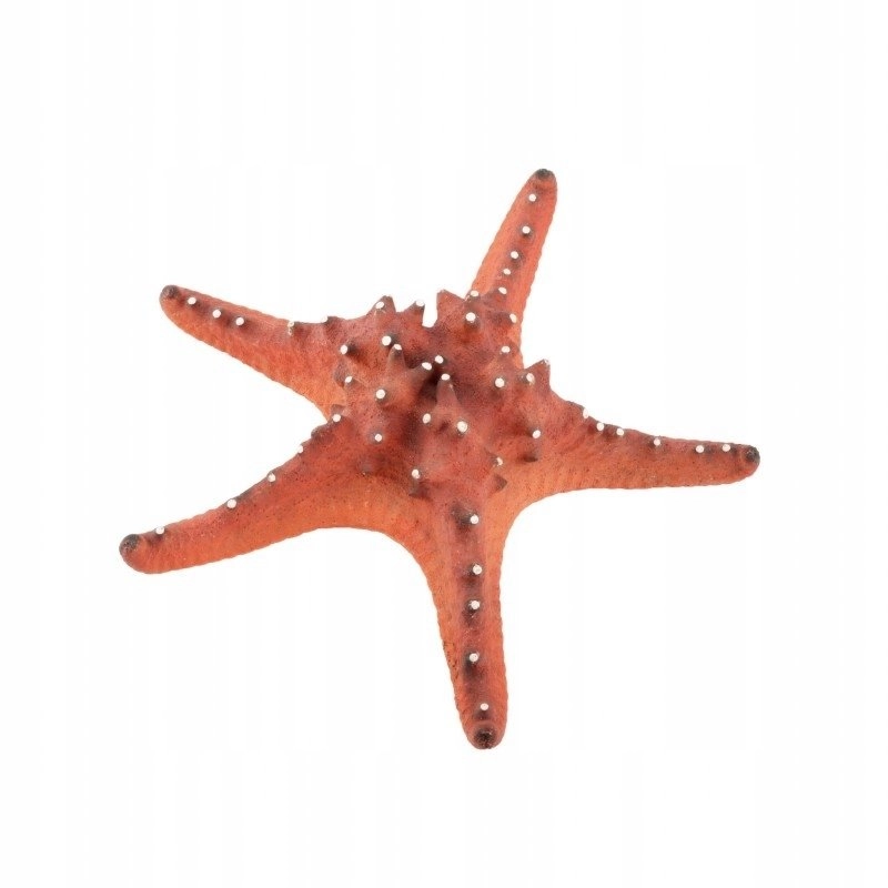 Aqua Natura Aquarium decoration  red starfish