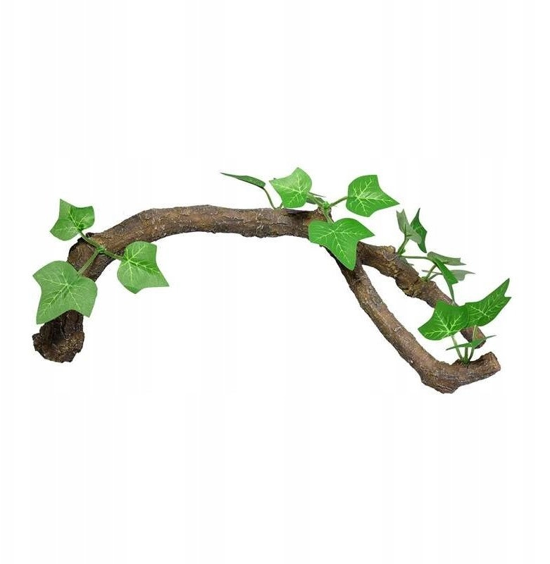 Terra Natura Dekoracja terrarystyczna gałąź z