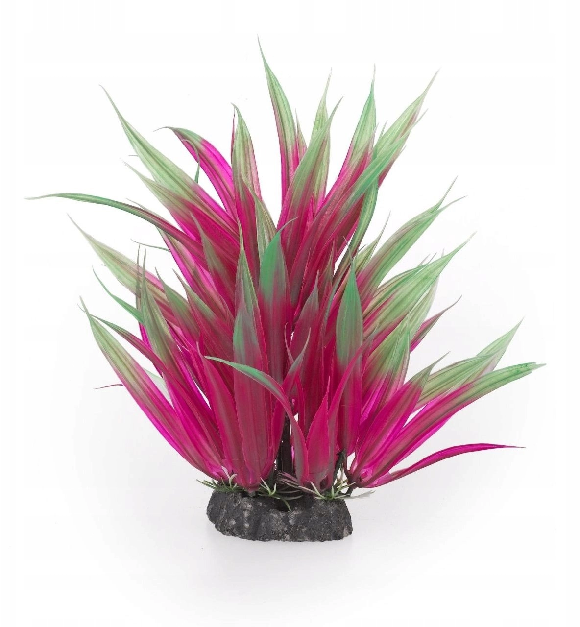 Aqua Natura  plant  for aquarium decoration