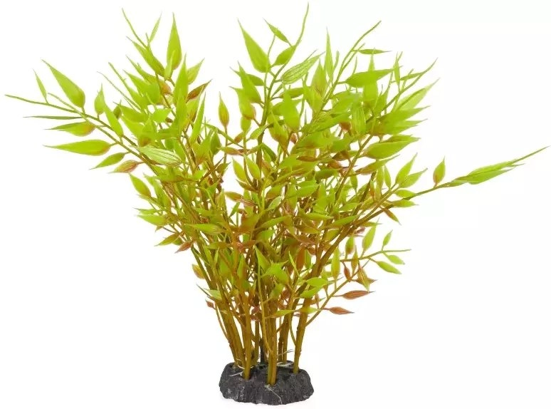 Aqua Natura  plant  for aquarium decoration