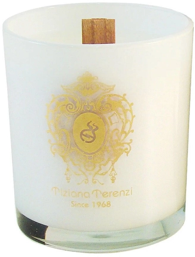 TIZIANA TERENZI Spicy Snow CANDLE 170g