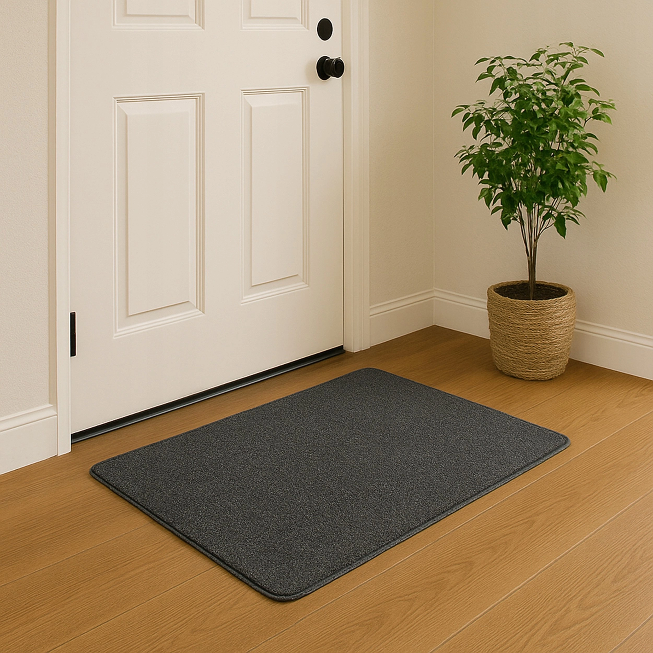 Tragar Magic doormat shoe mat non-slip
