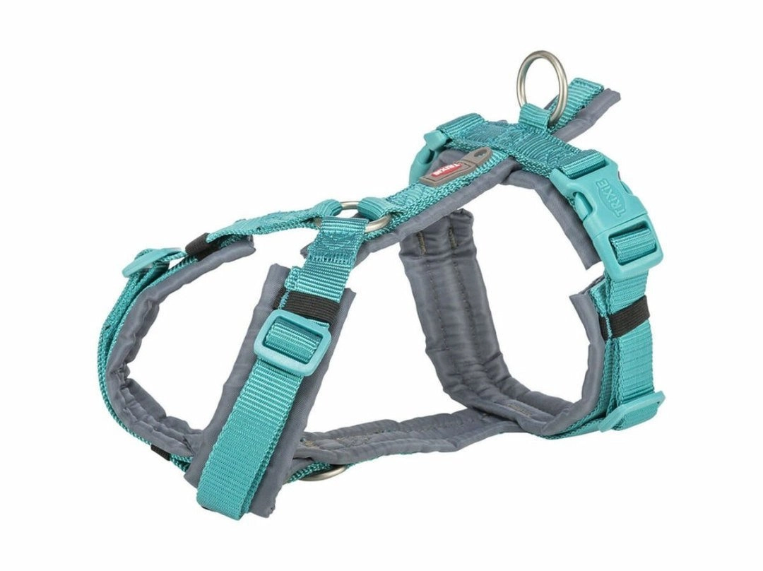 Premium trekking harness dog aqua/graphite XL: