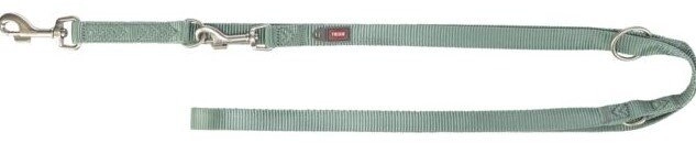Premium  adjustable leash  dog  tape  sage