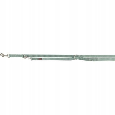 Premium  adjustable dog leash  tape  sage