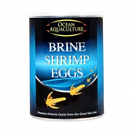 Ocean Aquaculture brine shrimp eggs jaja
