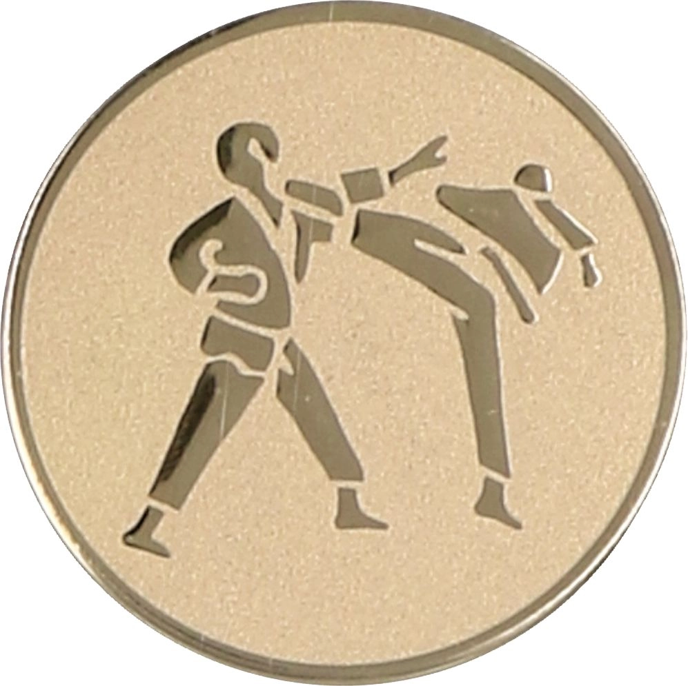 Tryumf Wklejka aluminiowa - karate (D1-A60)