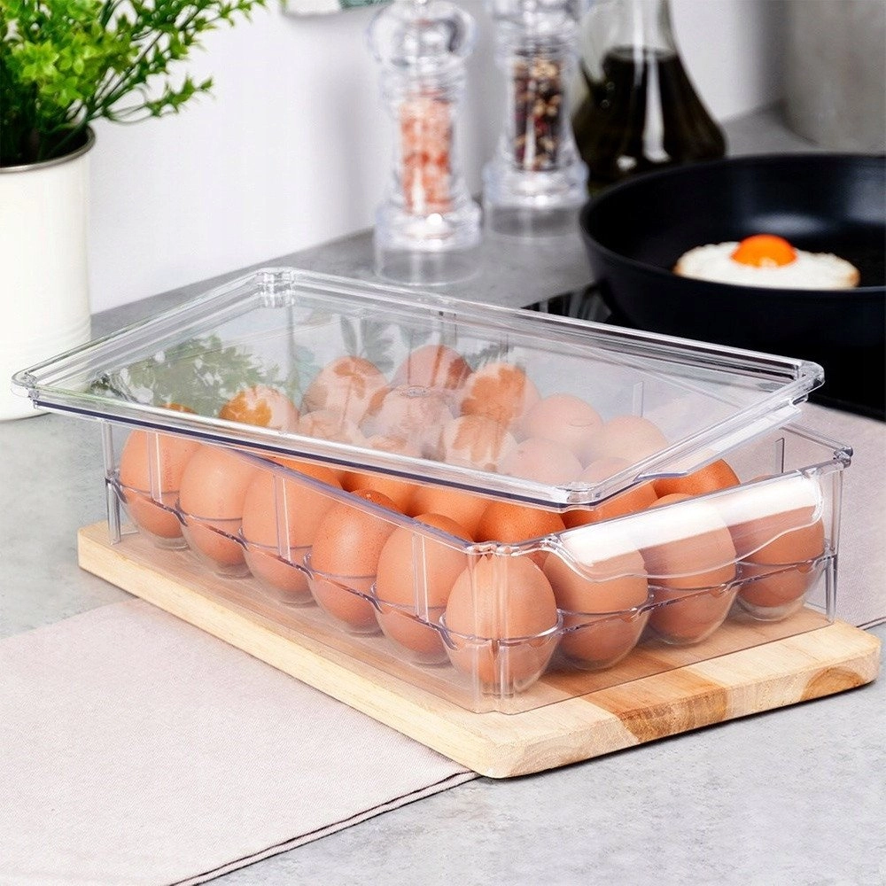 Container Box for 24 Eggs for