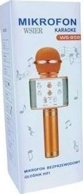 WK microphone JYWK369-1 gold toy microphone