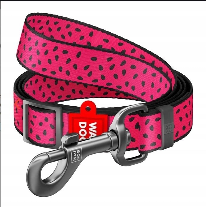Waudog WAU DOG SMYCZ NYLON REGULOWANA