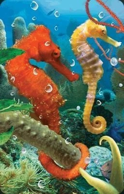 Worth Keeping 3D Seahorse Mini Card