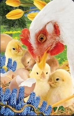 Worth Keeping Easter chicks 3D mini