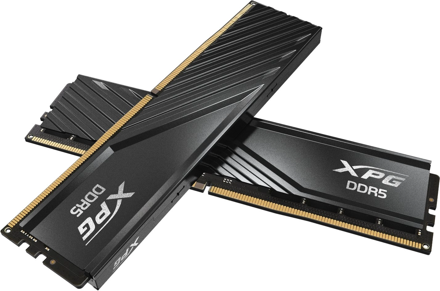 ADATA DIMM 16 GB DDR5-5600 (2x