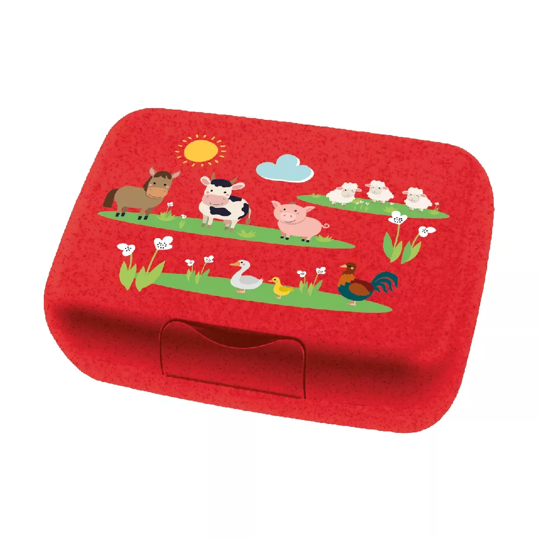 Koziol 1425676 lunch box Lunch container