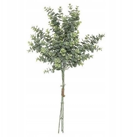 Kwiatydonice EUCALYPTUS BOUQUET H64 179274 3560237550565