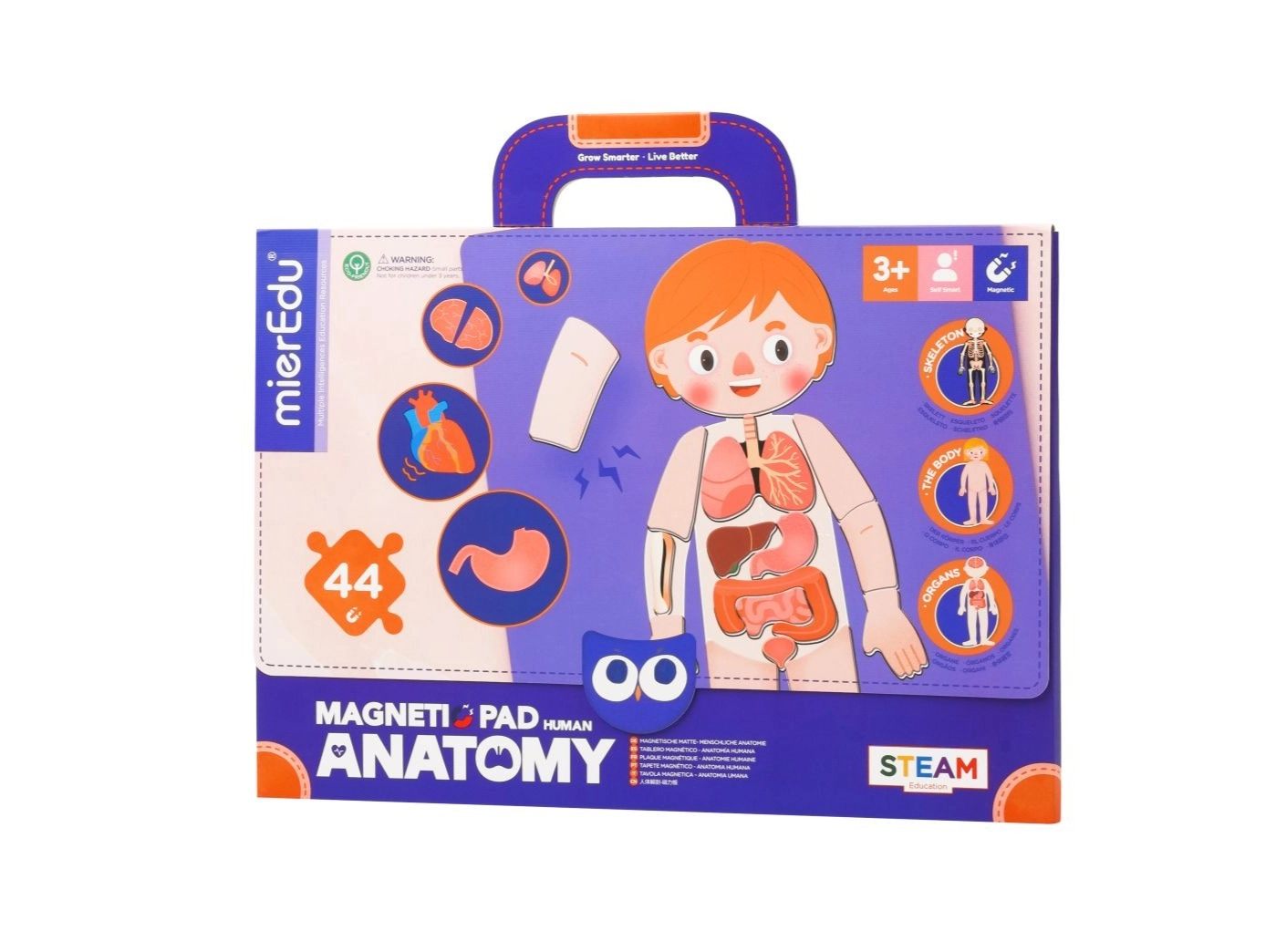 MierEdu Magnetic Pad - Anatomy Puzzle
