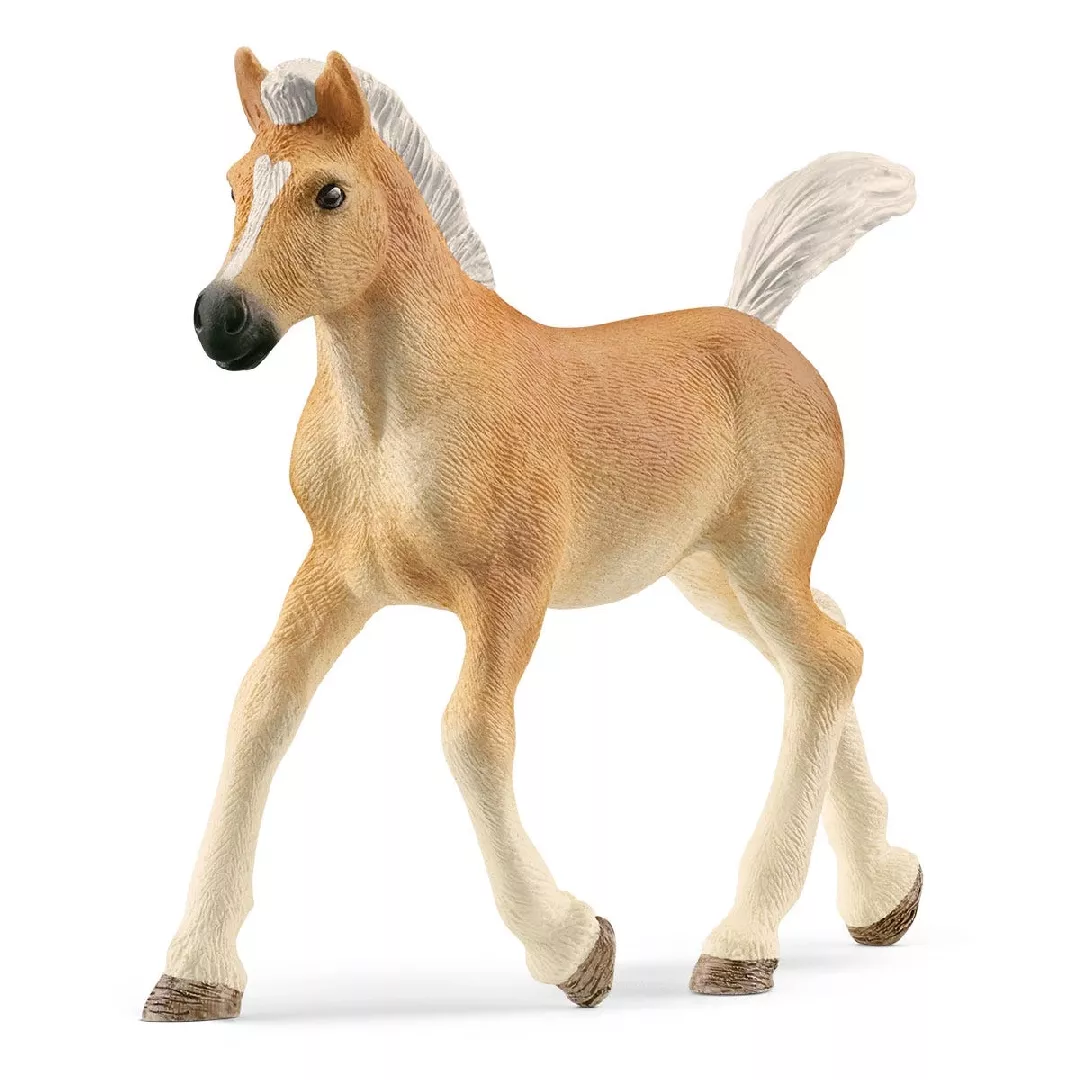 Schleich HORSE CLUB Haflinger Foal 024134