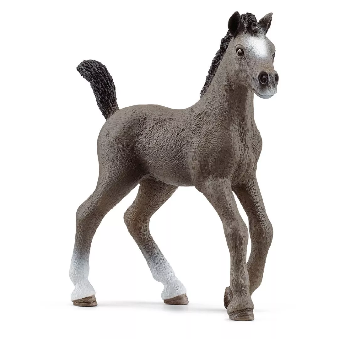 Schleich HORSE CLUB Selle Français Foal