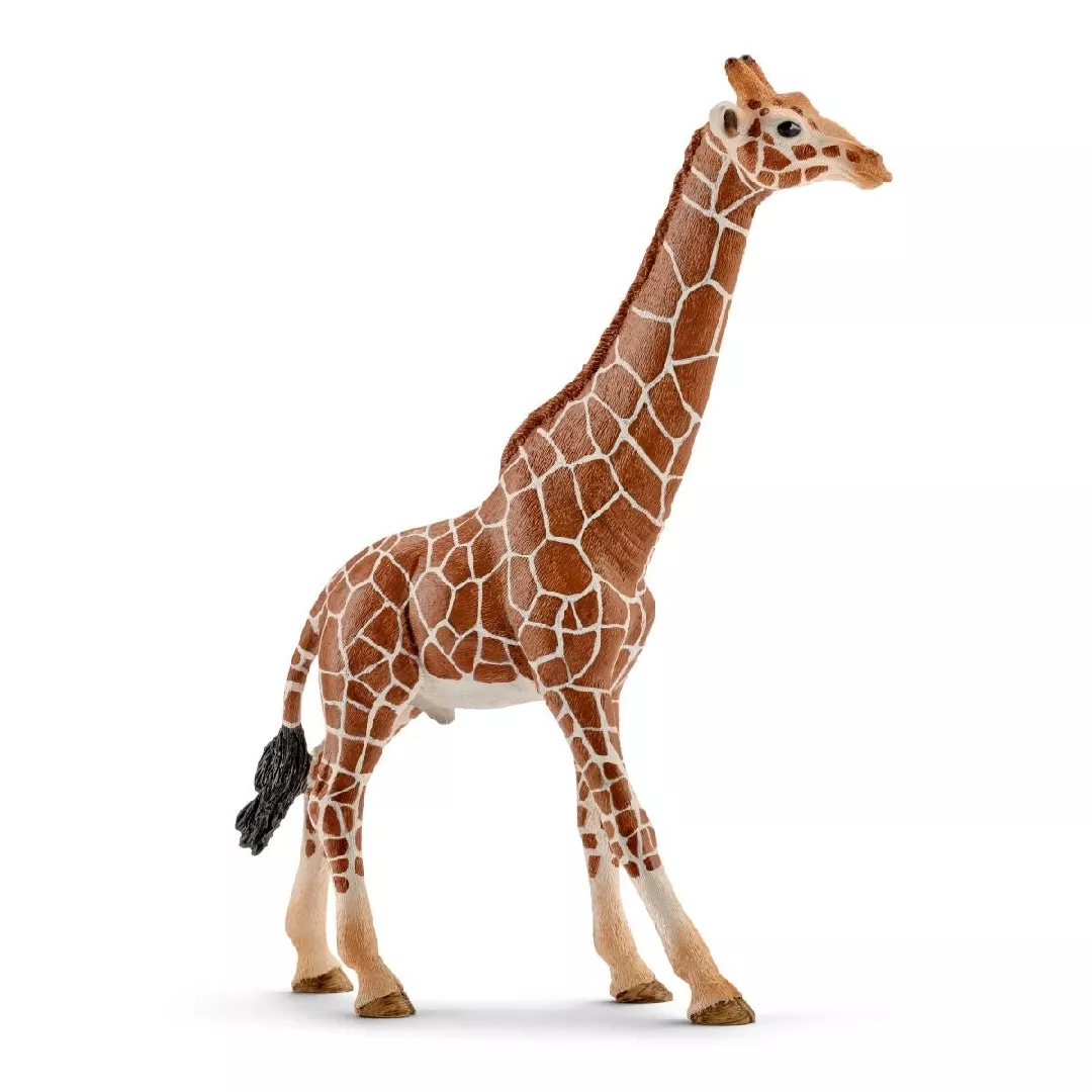 Schleich WILD LIFE Giraffe  male 14749