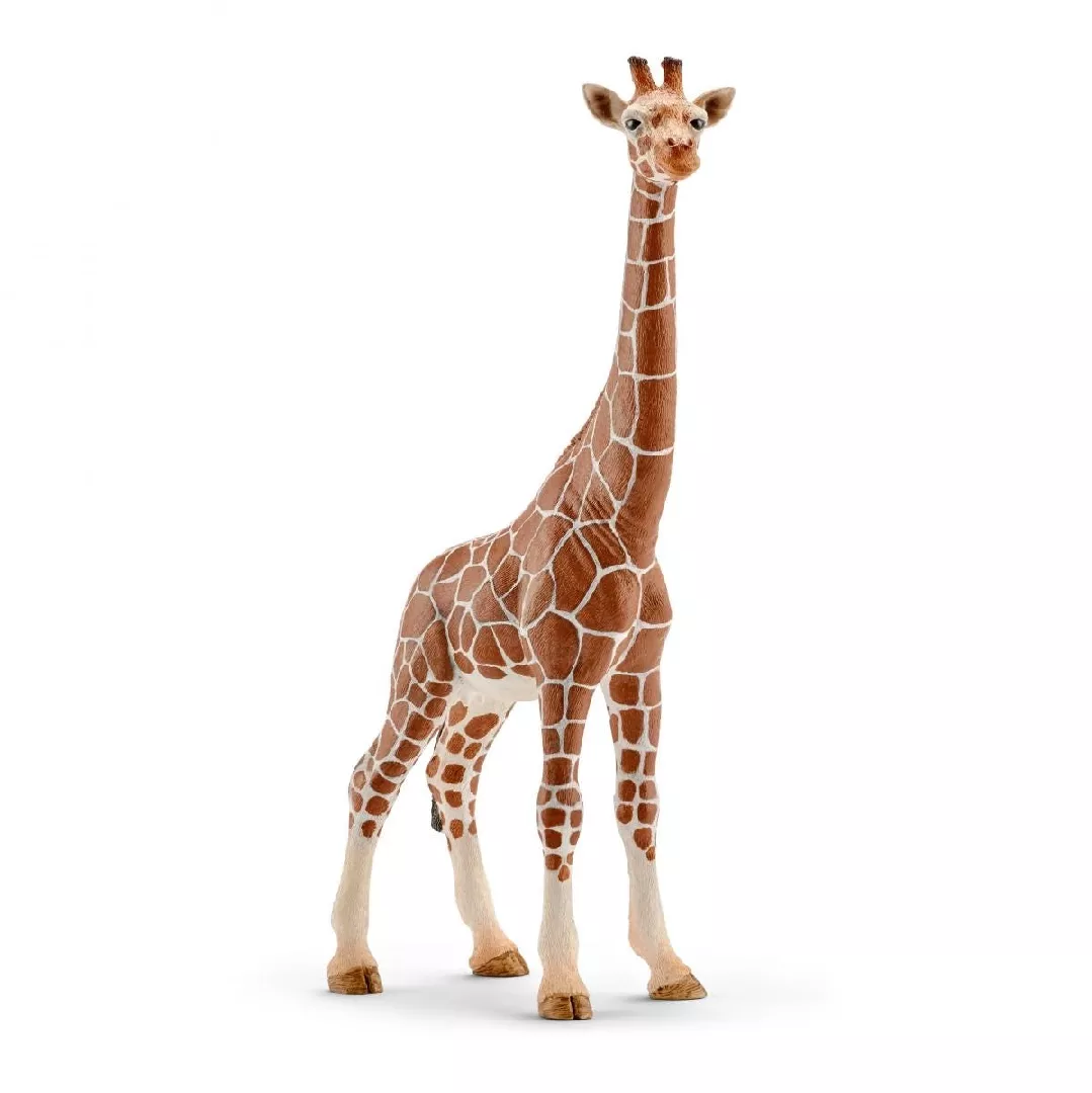 Schleich WILD LIFE Giraffe  female 14750