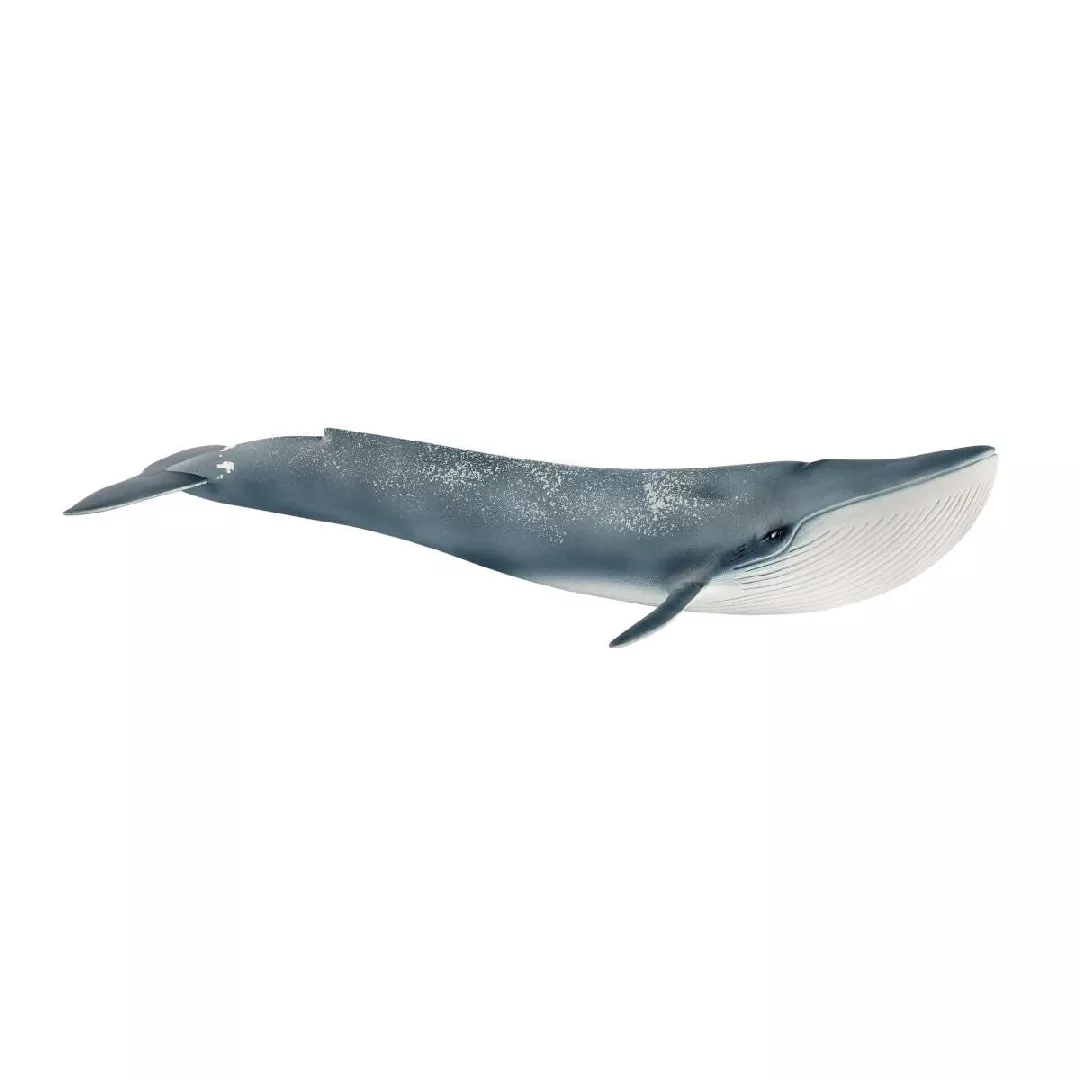 Schleich WILD LIFE Blue whale 14806
