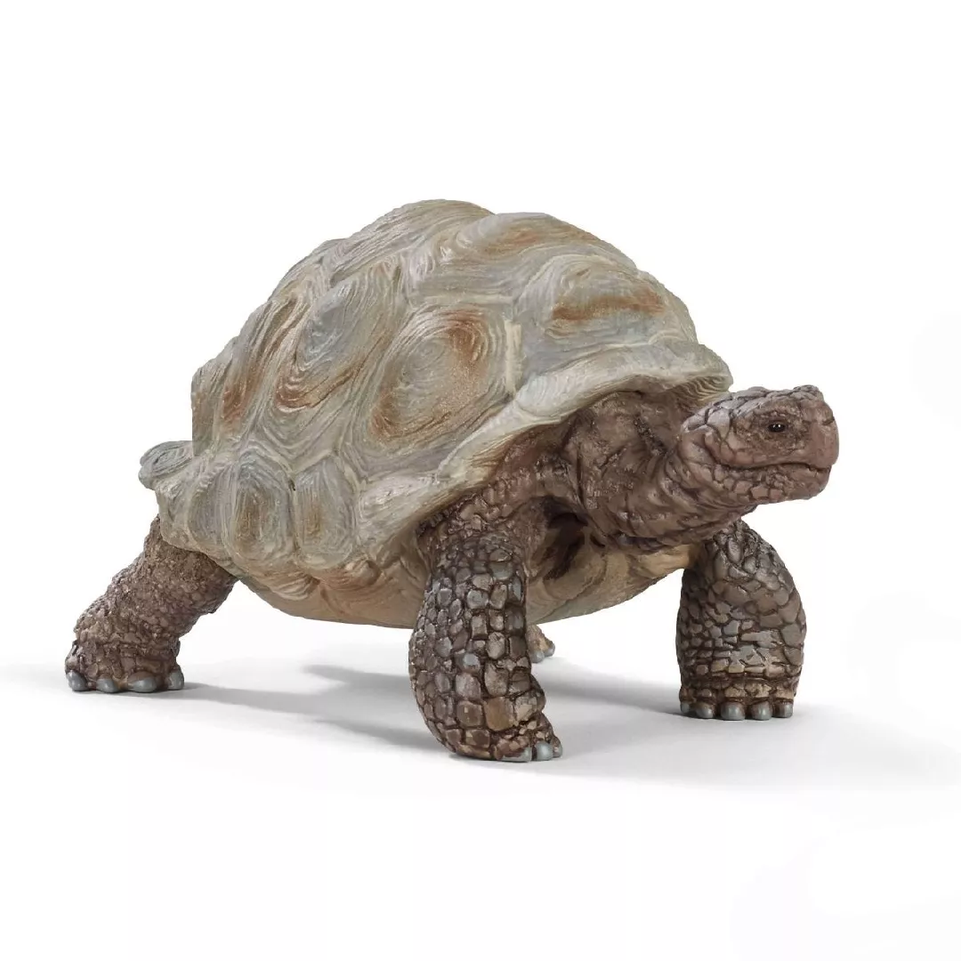 Schleich WILD LIFE Giant tortoise 14824
