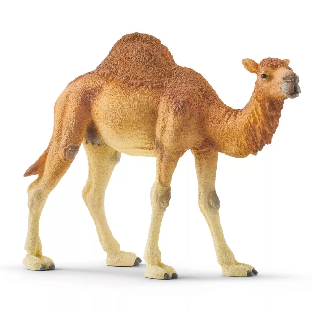 Schleich WILD LIFE Dromedary 14832 367370
