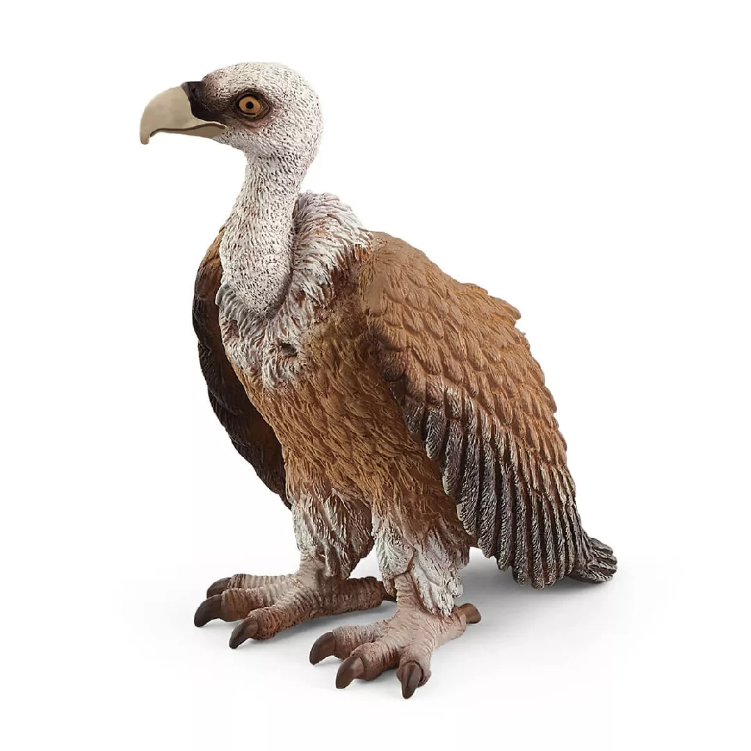 Schleich WILD LIFE Vulture 14847 401841