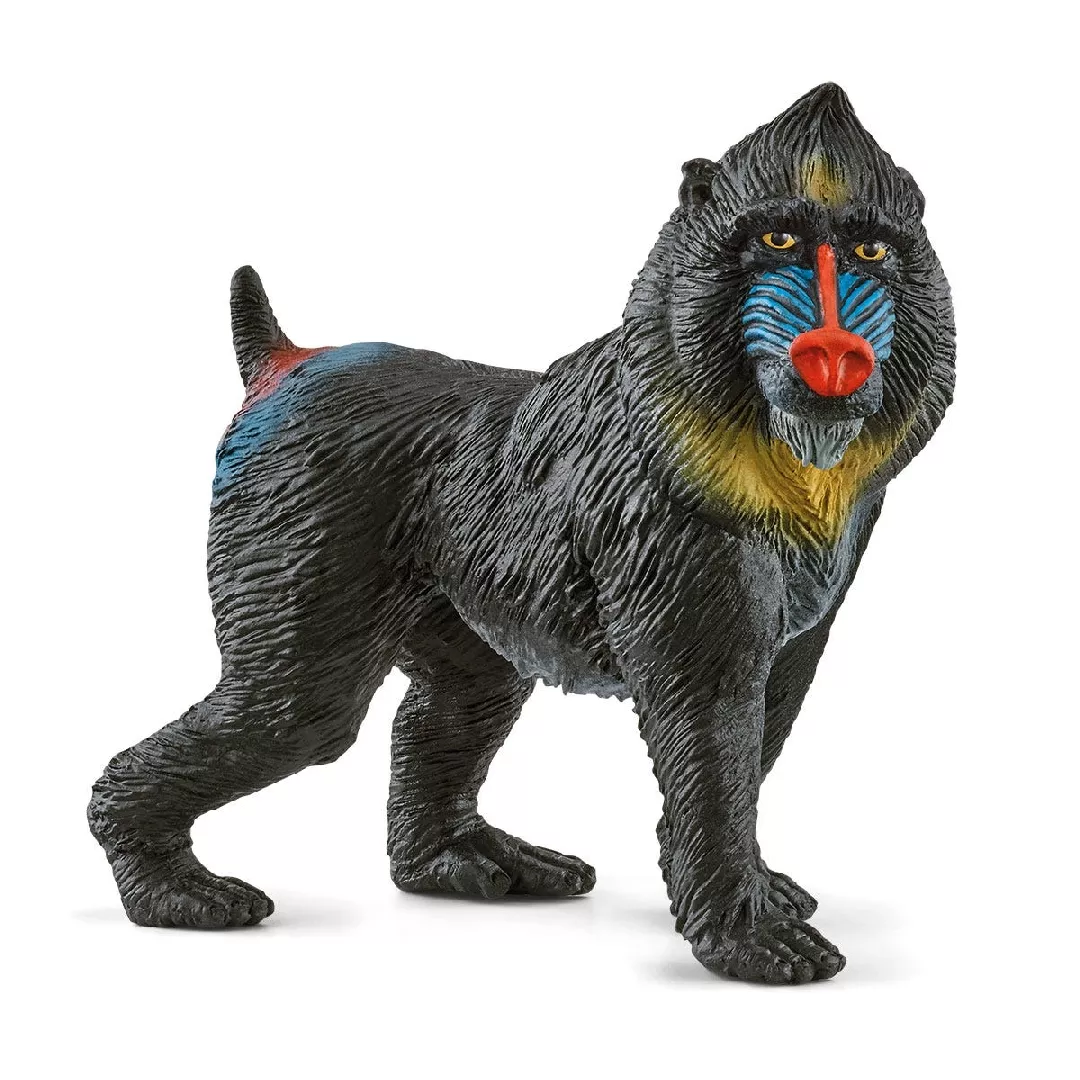 Schleich WILD LIFE Mandrill 14856 465280