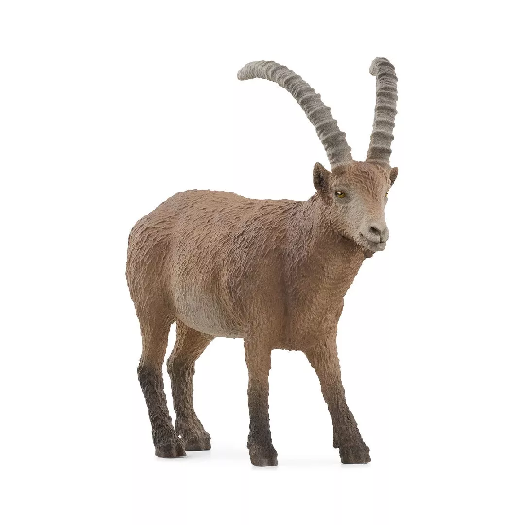 Schleich WILD LIFE Ibex 14873 GXP-908858