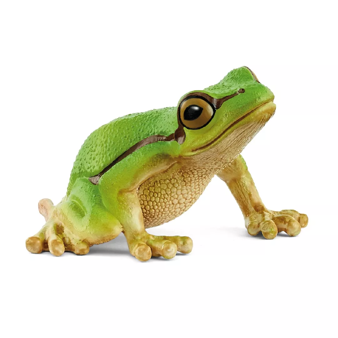 Schleich WILD LIFE European Tree Frog